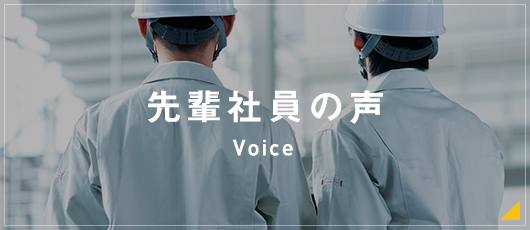 先輩社員の声