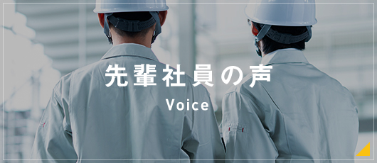 先輩社員の声